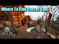 Where To Find Cactus Sap! || Ark Fjordur! - YouTube