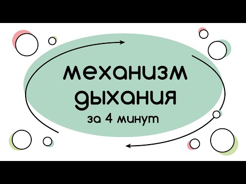 BioFamily: Механизм дыхания за 4 минуты