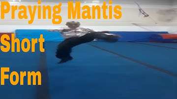 Sifu Bryan Showing Free Fighting Techniques To His Students Northern Praying Mantis Kung Fu