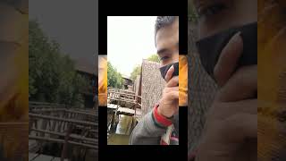 Hutan Mangrove!! #hutanmangrove #videoshort #video #viral #viralvideo