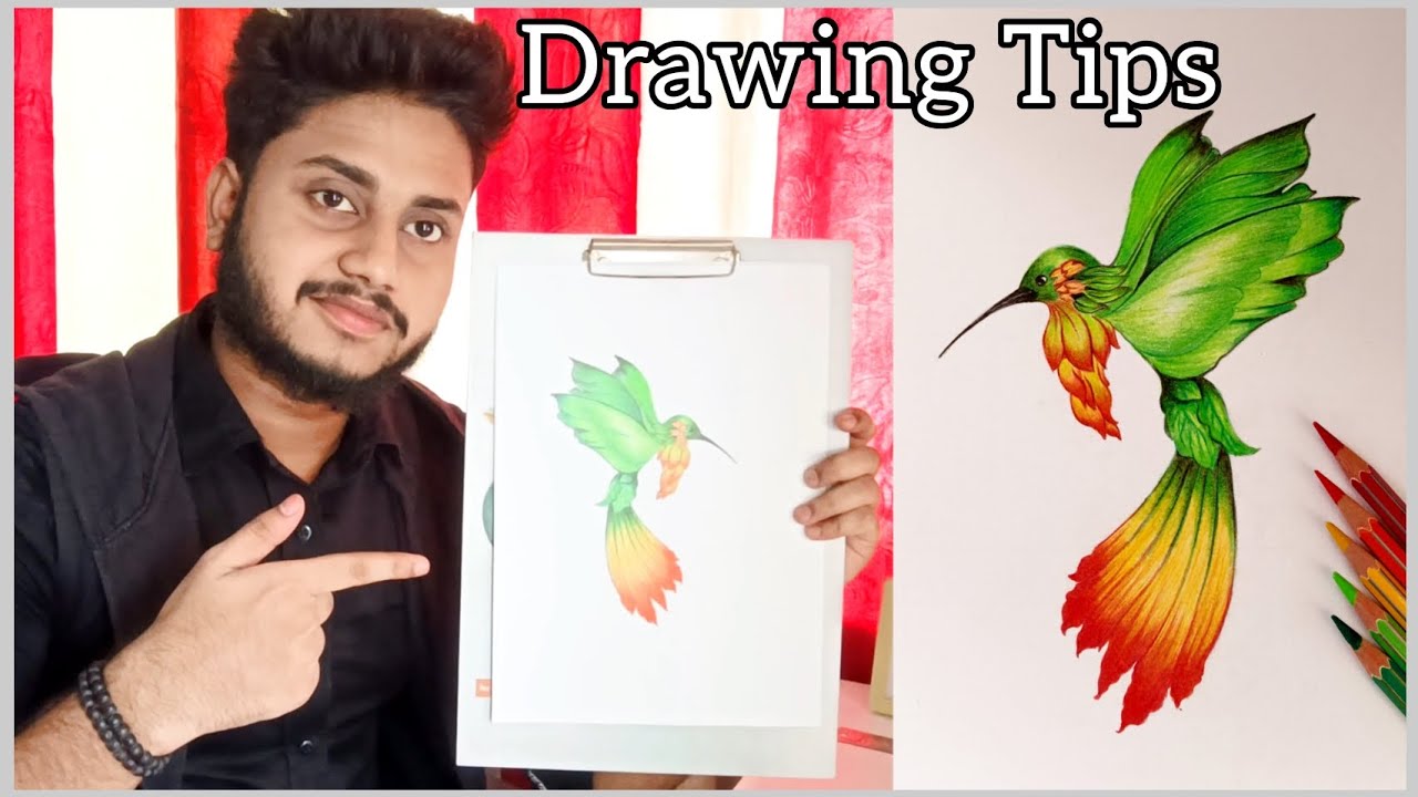Beautiful Bird Drawing Drawing Tutorial Video art drawing 