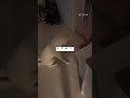 강아지 엎드려 가르치기 #초보집사 #dog #funny #shortvideo #강아지 #shorts #쇼츠 #웃긴영상