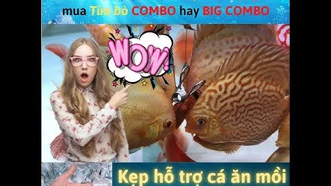 Kẹp thức ăn,tim bò đông lạnh cho cá cảnh ----Hiệu quả ngoài mong đợi!!