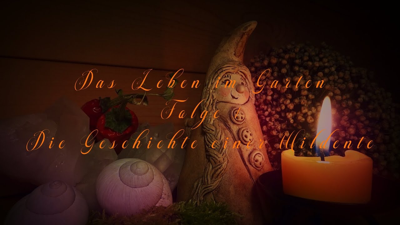 Happy Pet Plüsch Wildente - Quietschendes Spielzeug Für Hunde