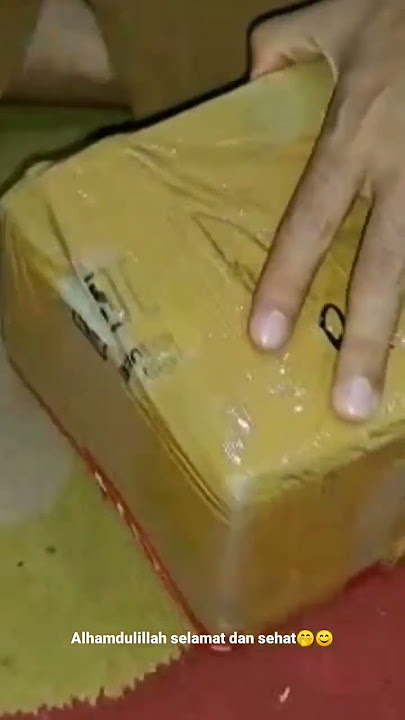 Unboxing Ikan Channa Pulchra Blue #shorts  #channapulchra