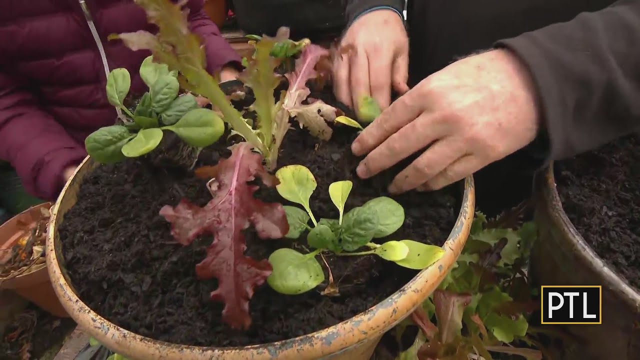 Getting Ready For Gardening Season