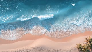 Jazz on a sunny beach 🏖️🌊 | Sunday with relaxing Bossa Nova