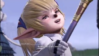 DFFNT クリスタルE→D シャントット HP2種