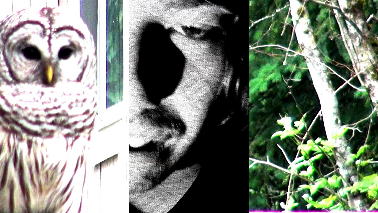 The Smashing Pumpkins- Ramona- Asterhouse cover 