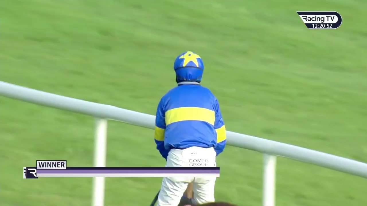 Wow! DYSART DYNAMO is relentless in the Moscow Flyer Novice Hurdle