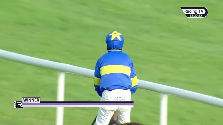Wow! DYSART DYNAMO is relentless in the Moscow Fly...