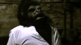 Weregorilla Transformation 8 Updated