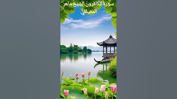 سورة الكافرون الشيخ ماهر المعيقلي