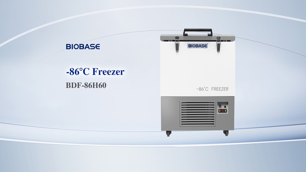 Supply -86℃ Freezer 60L 128L Wholesale Factory - BIOBASE GROUP