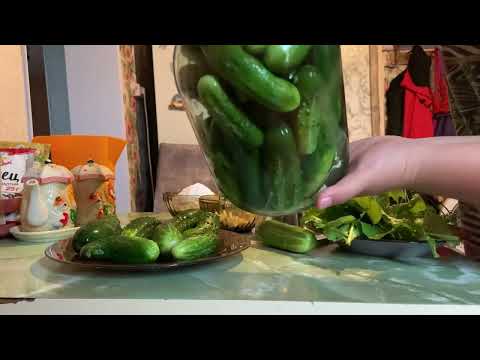 БОЧКОВЫЕ ОГУРЦЫ | СОЛИМ ПО БАБУШКИНОМУ РЕЦЕПТУ | САМЫЕ ВКУСНЫЕ И ХРУСТЯЩИЕ ОГУРЦЫ