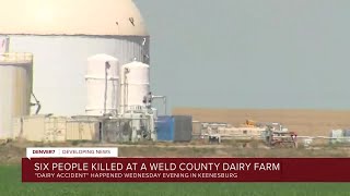 6 people died in a 'dairy accident' in Weld County