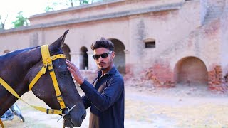 #New Panjabi Song #ICON DASi Artist Rana Yasin X Raper Saqi Jutt 5 june/ 2025