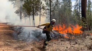 A lightning caused fire is expanded into a prescribed burn