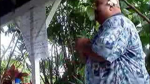 Liko Puha teaching the kaona of Kunihi Ka Mauna