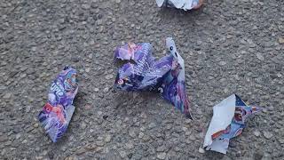 2019 Paw Patrol Pups Save Puplantis Dvd Destruction