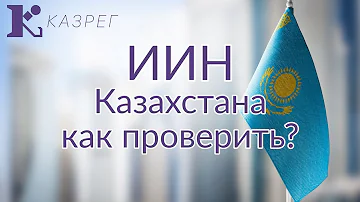 Как узнать свой налоговый номер Казахстан