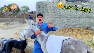 لما ابوك يبيع المكنه 🏍 بتعتو ويشتري مكانه حمار ( الجزء الثالث)🐴😂| علاء حسين