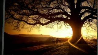 K'naan Bulletproof pride