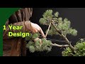 Rebuild a japanese white pine bonsai pruning wiring and repotting