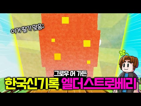 🔥초거대 엘더스트로베리!! 결국 수확했습니다 [그로우어가든 : 로블록스]