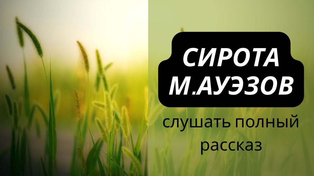 Сирота ауэзов. Сирота ауэзов