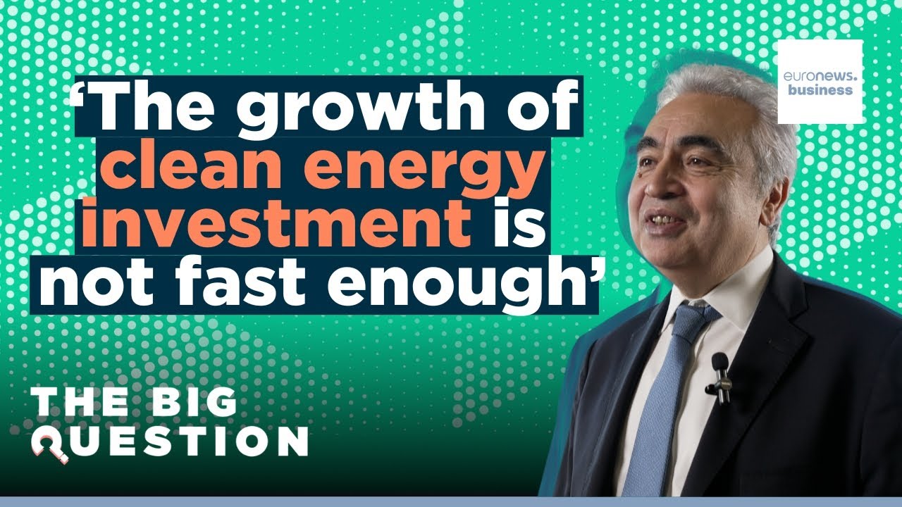 Read more about the article What are the economic factors still limiting the green energy transition? | The Big Question | TEASE – euronews