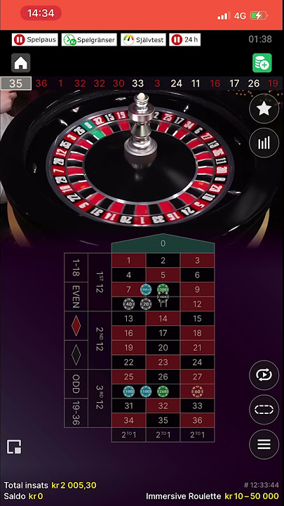 Lucky Player Wins Big on Immersive Roulette