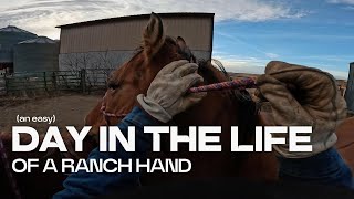 Moving Cows, Fixing Fence & Building Gates - Light Ranching before the holidays! 