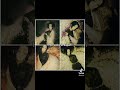 #SHINOBU::|| Me encanta su voz✨🦋||#valerikocho #viral #noflop