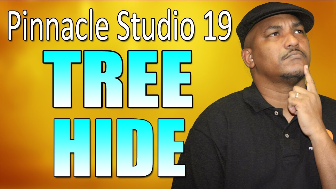 pinnacle studio 19 tutorial pdf