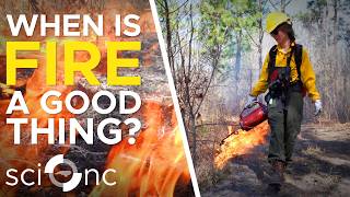 How drones are helping the environment by starting fires