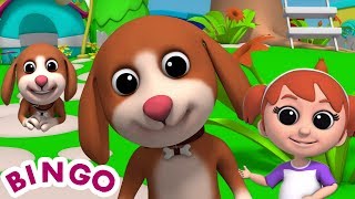 Bingo anjing | lagu anjing | kanak-kanak sajak | Bingo The Dog