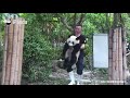 [판다판다] "싫어! 나 집에 안 갈래!!" | CCTV 한국어방송