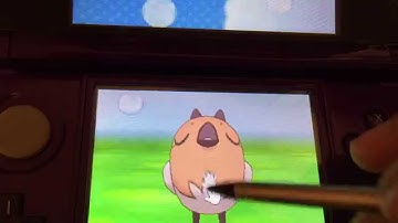 (MM) Shiny Fletchling Hatched After Only 83 Eggs