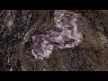 Poudretteite - an extremely rare mineral and gemstone one of the rarest gemstones on Earth