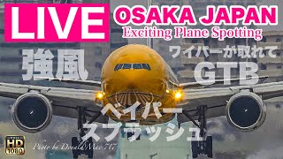 🔴 LIVE OSAKA ITAMI Airport ( JAPAN ) 2025/3/16 大阪伊丹空港   ライブカメラ