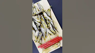 Тюлька Астраханская