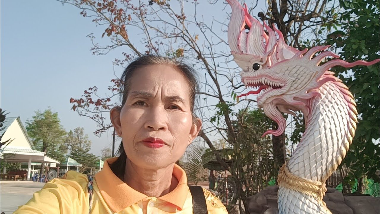 สด   ลองอีกครั้ง