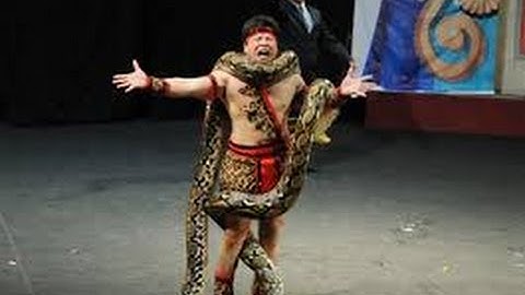 Xiếc trăn vui nhộn | Python circus fun | Video