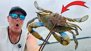 BIGGEST & BEST Blue Crabs in the World! Recreational in Crabbing MARYLAND
