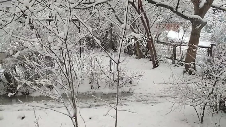 18 ЯНВАРЯ 2022 ГОДА, СНЕГ В КРАСНОДАРЕ. ЗИМА НА КУБАНИ, КРАСИВЫЙ СНЕГОПАД