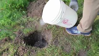 How to Perform a Soil Infiltration Test