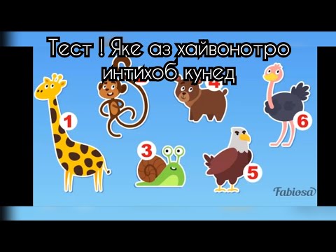 Тест ! Яке аз хайвонотро интихоб кунед