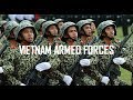 Vietnam armed forces 2018