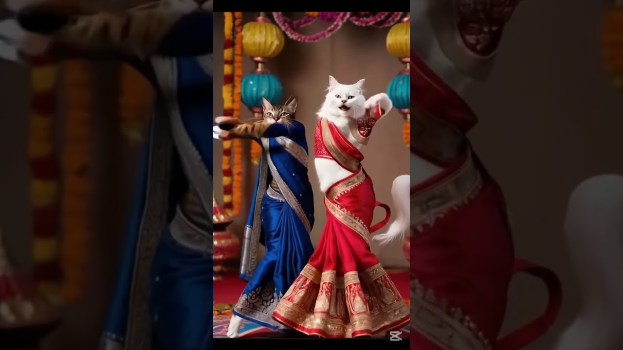 "Funniest & Cutest Cats Ever! 😻😂 